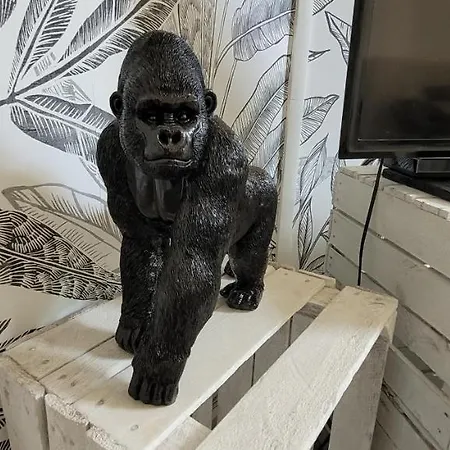 Dormiraneris Résidence Amaryllis Apartamento